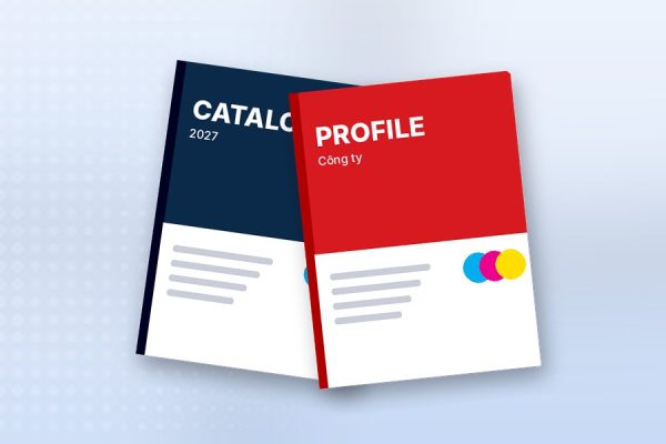 dv catalogue
